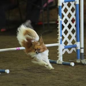 Meet your Posher, Terry